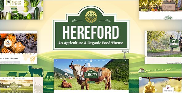 Hereford – Agriculture and Organic Food WordPress Theme